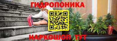 прущие крисы Бийск