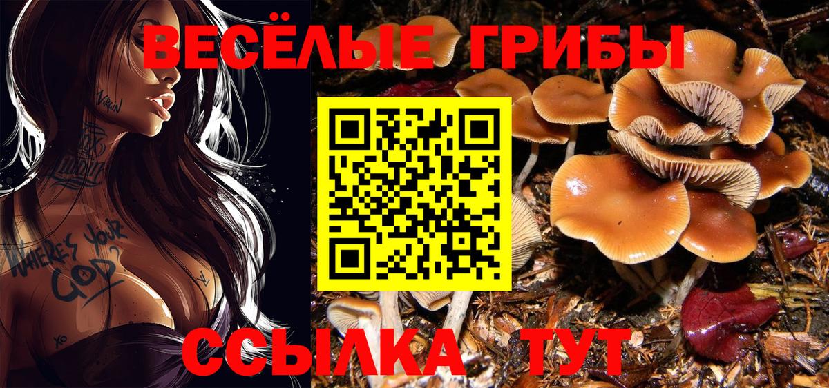 Знаменск  Галлюциногенные грибы ЛСД  хочу   Галлюциногенные грибы MAGIC MUSHROOMS  Вход с VPN 